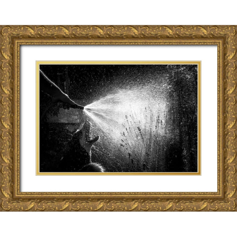 The Garden Hose Gold Ornate Wood Framed Art Print with Double Matting by Kleimann, Stephanie