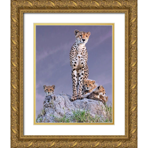 Cheetah With Cubs At Dawn Gold Ornate Wood Framed Art Print with Double Matting by Mohanraj, Arun