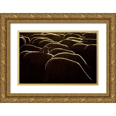 Confused Gold Ornate Wood Framed Art Print with Double Matting by Bagci, Emir