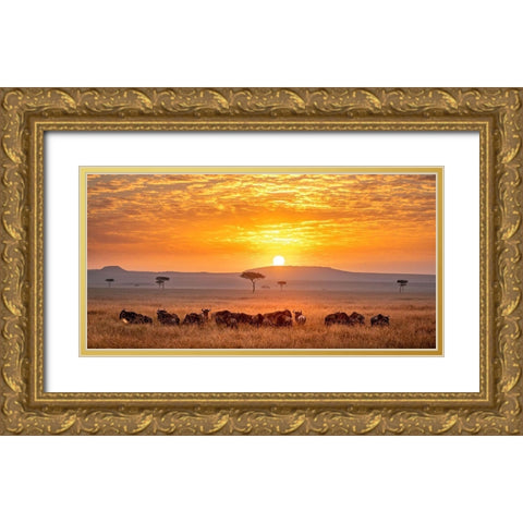 Sunrise Gold Ornate Wood Framed Art Print with Double Matting by Tsui, Hung