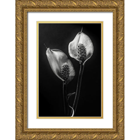 Spathiphyllum Gold Ornate Wood Framed Art Print with Double Matting by Clough, Stephen