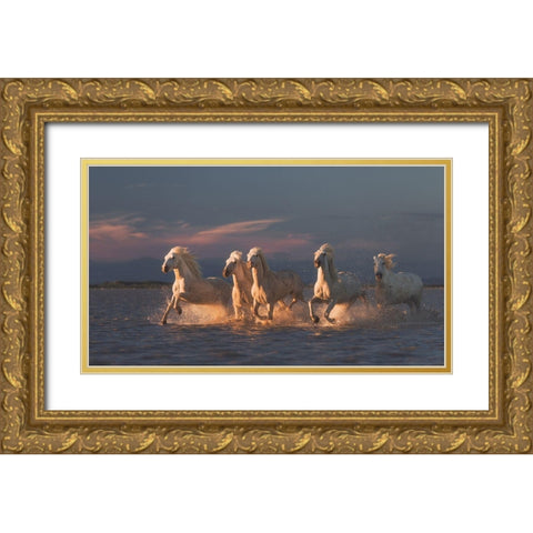 Camargue Horses On Sunset Gold Ornate Wood Framed Art Print with Double Matting by Anton, Rostovskiy