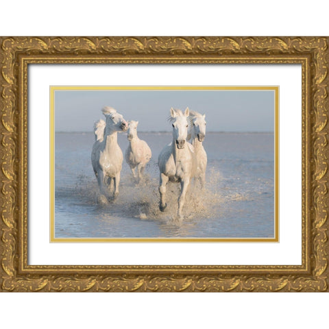 Horses Gold Ornate Wood Framed Art Print with Double Matting by Anton, Rostovskiy