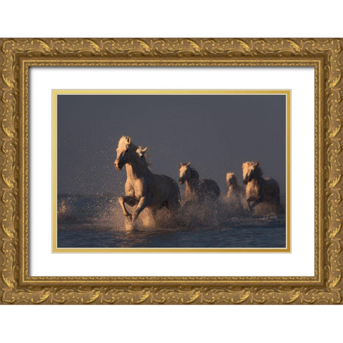 Horses In Sunset Light Gold Ornate Wood Framed Art Print with Double Matting by Anton, Rostovskiy