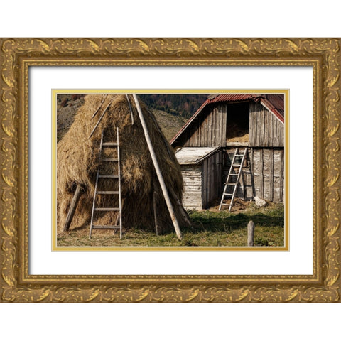 Rural Gold Ornate Wood Framed Art Print with Double Matting by Jo, Madeline