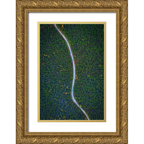 Silent Creek Gold Ornate Wood Framed Art Print with Double Matting by Zheng, Michael