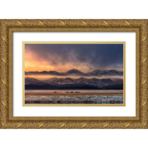 Qinghai (EÂ?Aemm) Gold Ornate Wood Framed Art Print with Double Matting by Deng, Larry