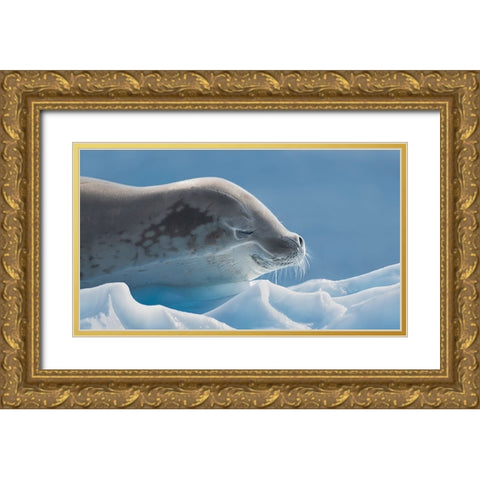 Peaceful Gold Ornate Wood Framed Art Print with Double Matting by Wang, Yun