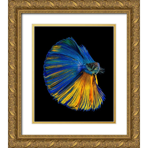 Yellow A Blue Gold Ornate Wood Framed Art Print with Double Matting by Halil, Andi