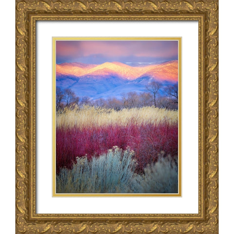 Field Layers Gold Ornate Wood Framed Art Print with Double Matting by Kirbyturnage