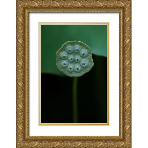 A Lotus Gold Ornate Wood Framed Art Print with Double Matting by Liu, Yanny