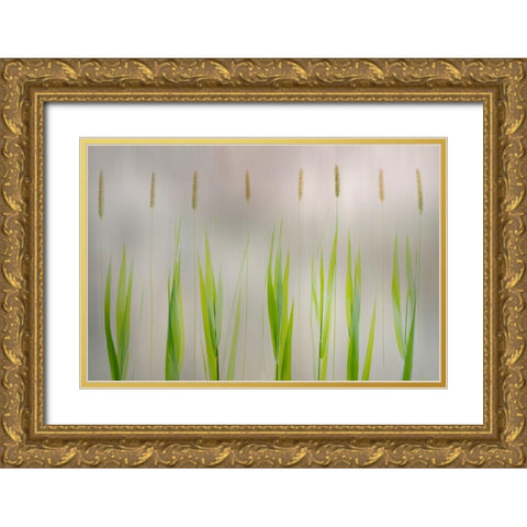 Harmony Gold Ornate Wood Framed Art Print with Double Matting by Van Son, Greetje