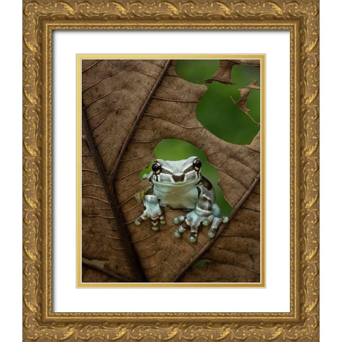 Looking At Window Gold Ornate Wood Framed Art Print with Double Matting by Tantoyensen