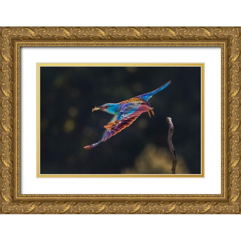 Busy For Feeding Gold Ornate Wood Framed Art Print with Double Matting by Zuo, Jun