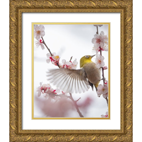 Dance With Plum Gold Ornate Wood Framed Art Print with Double Matting by miwa_sun_