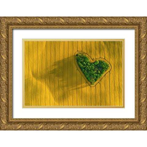 L3 Gold Ornate Wood Framed Art Print with Double Matting by Malkiewicz, tukasz