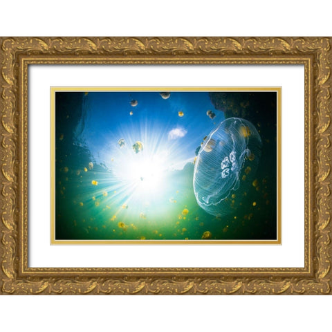 Medusa Aurelia Gold Ornate Wood Framed Art Print with Double Matting by Gabriel, Barathieu