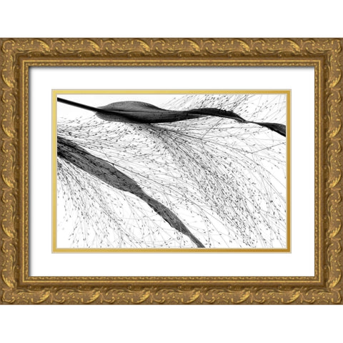 Black Grass Gold Ornate Wood Framed Art Print with Double Matting by Dingemans, Saskia
