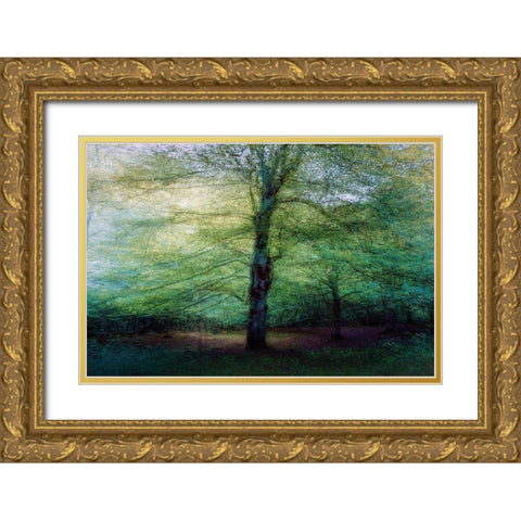 Forest Gold Ornate Wood Framed Art Print with Double Matting by Antonio Cobo, Marco