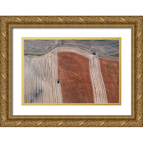Series Tuscany - Lines And Curves Gold Ornate Wood Framed Art Print with Double Matting by Chiriaco, Carmine