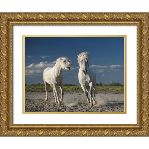 White Horses Gold Ornate Wood Framed Art Print with Double Matting by Anton, Rostovskiy