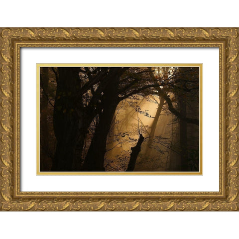 Colors Of Fall Gold Ornate Wood Framed Art Print with Double Matting by Maier, Norbert