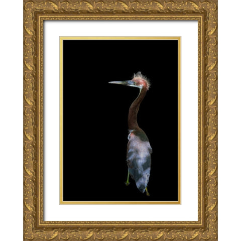 Bad Haired Day Gold Ornate Wood Framed Art Print with Double Matting by Zhu, Eddie