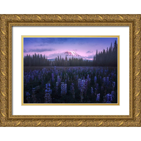 Adams Lupine Gold Ornate Wood Framed Art Print with Double Matting by Bandyopadhyay, Atanu