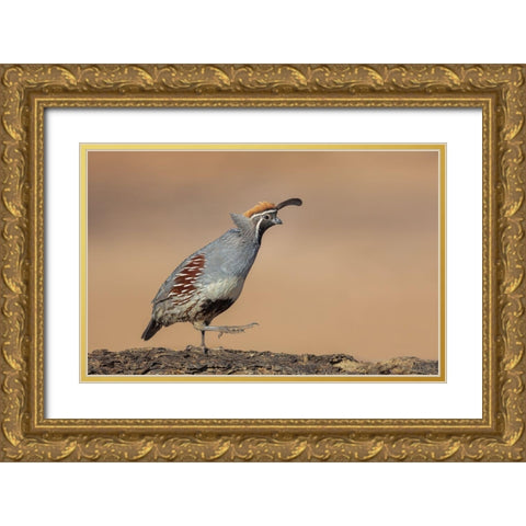Forward-March! Gold Ornate Wood Framed Art Print with Double Matting by Barsh, Greg