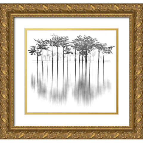 Reflections Gold Ornate Wood Framed Art Print with Double Matting by Ur Rahman, Sami