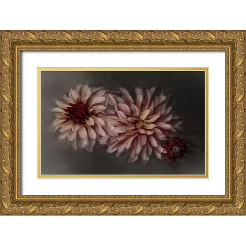 Dahlia Family Gold Ornate Wood Framed Art Print with Double Matting by Claes, Gilbert