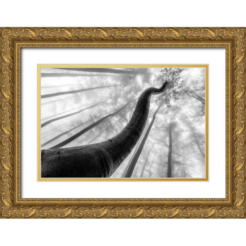 Tree Shapes Gold Ornate Wood Framed Art Print with Double Matting by Pavlasek, Tom
