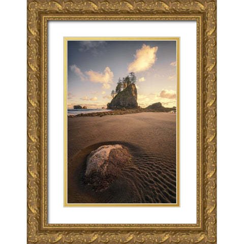 Water Trails Gold Ornate Wood Framed Art Print with Double Matting by Gamito, Clara