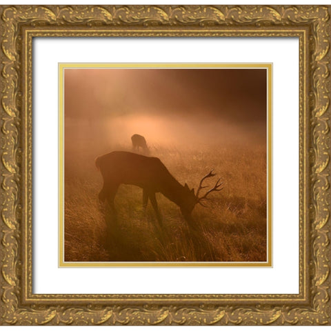 Light Means Everything... Gold Ornate Wood Framed Art Print with Double Matting by Fabrowski, Robert