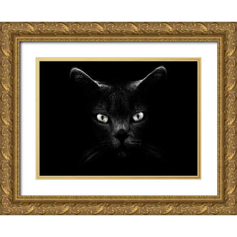 Untitled Gold Ornate Wood Framed Art Print with Double Matting by Grambone, Antonio