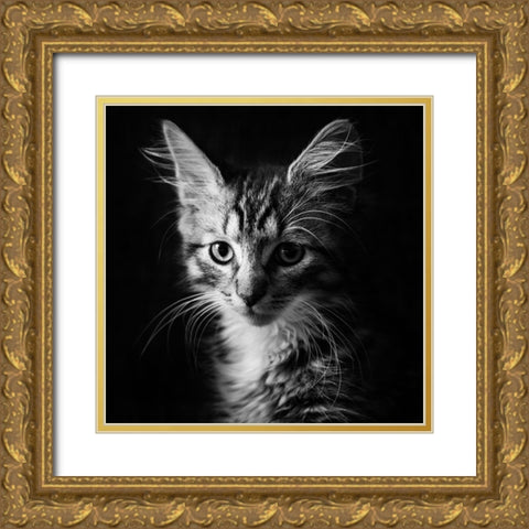 Laban Gold Ornate Wood Framed Art Print with Double Matting by Holmqvist, Marcus