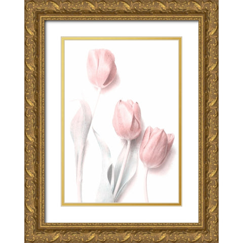 Sweet Pink Gold Ornate Wood Framed Art Print with Double Matting by Devos, Delphine