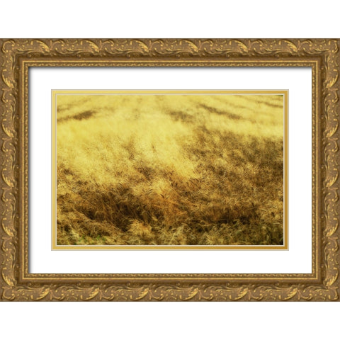 Golden Waves Gold Ornate Wood Framed Art Print with Double Matting by Kravanja, Jure