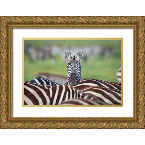 Make A Difference....Stand Out In The Crowd Gold Ornate Wood Framed Art Print with Double Matting by C. Sink, Jeffrey