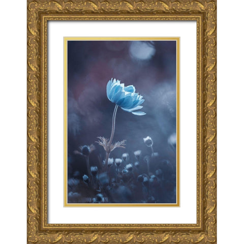 A Short Story Of Flower Gold Ornate Wood Framed Art Print with Double Matting by Bravin, Fabien