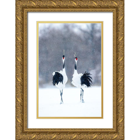 Tsuru (Crane)-Pair Gold Ornate Wood Framed Art Print with Double Matting by Uota, Katsu