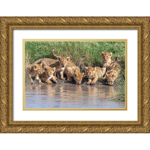 Putting The Band Back Together.... Gold Ornate Wood Framed Art Print with Double Matting by C. Sink, Jeffrey