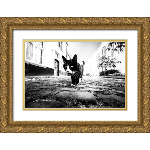 Focus Gold Ornate Wood Framed Art Print with Double Matting by Huybrighs, Marc