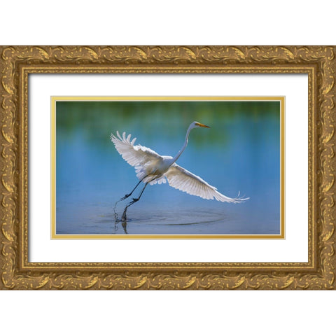 Untitled Gold Ornate Wood Framed Art Print with Double Matting by Cloud, Mountain