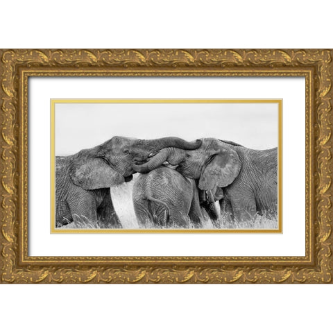 Elephant Playing Gold Ornate Wood Framed Art Print with Double Matting by Zuo, Jun