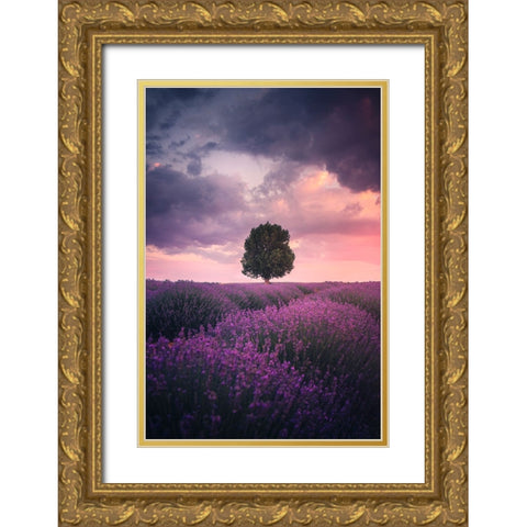 Lavender Fields, Isparta Gold Ornate Wood Framed Art Print with Double Matting by Cevik, Cuma