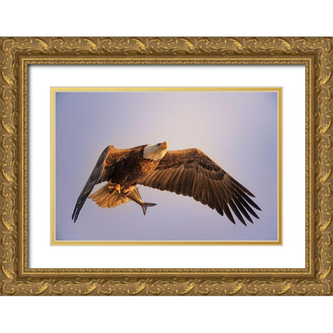 Eagle Gold Ornate Wood Framed Art Print with Double Matting by Huang, Tao