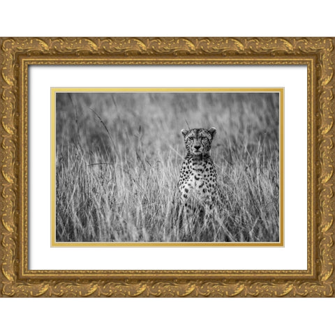 Cheetah Gold Ornate Wood Framed Art Print with Double Matting by Fernando, Anura