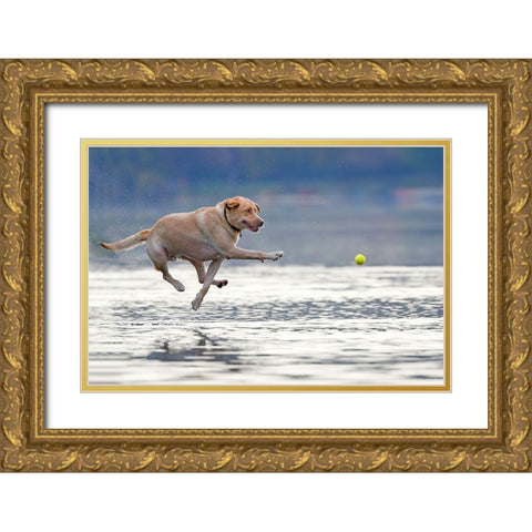 Dance Above The Water Gold Ornate Wood Framed Art Print with Double Matting by Li, Rob
