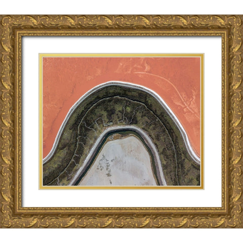 Topographic Projection Gold Ornate Wood Framed Art Print with Double Matting by Eliash, Tomer
